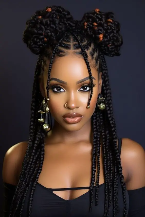 Explore Top Box Braids Hairstyles – Embrace Your Style Today